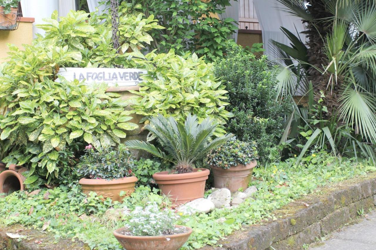B&B La Foglia Verde Масса Екстер'єр фото